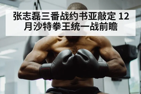 张志磊三番战约书亚敲定 12月沙特拳王统一战前瞻