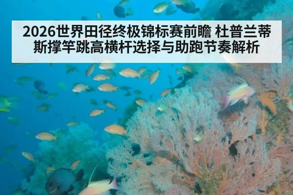 2026世界田径终极锦标赛前瞻 杜普兰蒂斯撑竿跳高横杆选择与助跑节奏解析